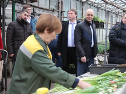 Руководство Йошкар-Олы изучает опыт городских служб Ульяновска