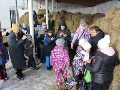 Учащиеся Воскресной школы «Преображение» посетили конный клуб "ДоВольный Конь"