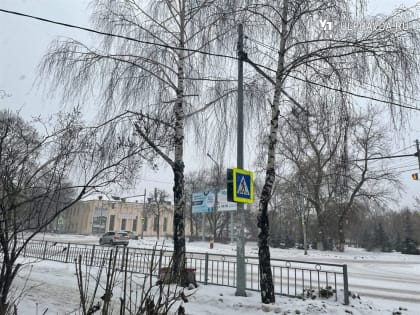 Сегодня ульяновцам обещают мокрый снег и плюсовую температуру