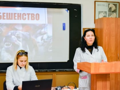 Познавательный квест