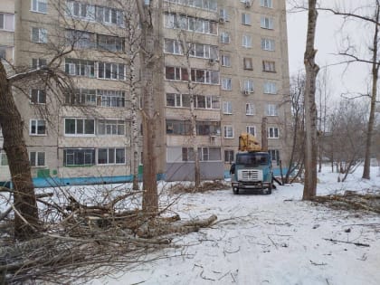 В Ульяновске продолжается обрезка деревьев по наказам жителей