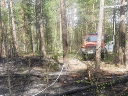 За майские праздники в Ульяновской области ликвидировали девять лесных пожаров