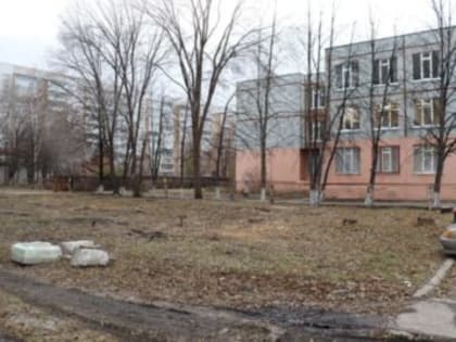 Безопасность детей в школе №82: работа по устранению аварийных деревьев