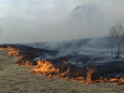 В Ульяновской области ликвидировано 26 лесных пожаров