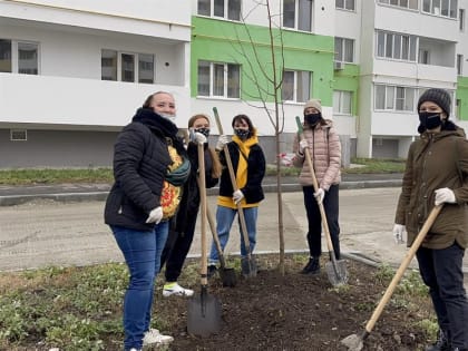 В областном центре проходит городской субботник