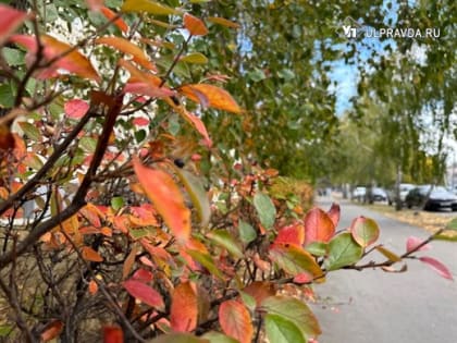 Холодный фронт понизил температуру. Погода в Ульяновской области сегодня