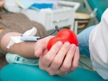 Депутаты ЗСО ищут доноров крови для своего коллеги