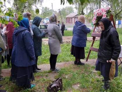 Крестный ход с чудотворной Казанской Жадовской иконой Божией Матери по селу Алёшкино