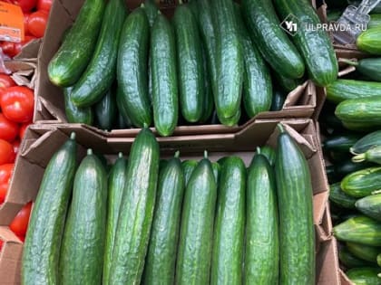 Самые дешёвые огурцы продают в Ульяновской области