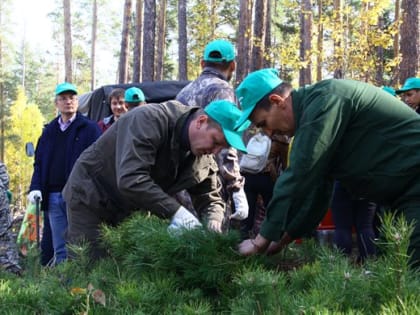 В Ульяновской области оцифровали леса