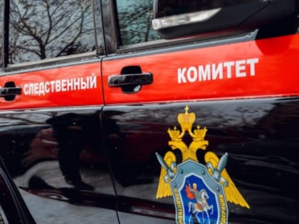 В Ульяновской области следователи СК России проверяют обстоятельства смерти трех жителей в результате отравления газом