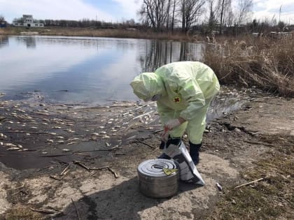 Солдатское озеро в Поливно в этом году «приболело»