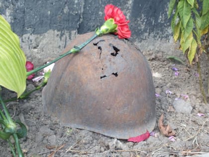 Алексей Русских обсудил с представителями поискового движения Ульяновской области новые законотворческие проекты организации