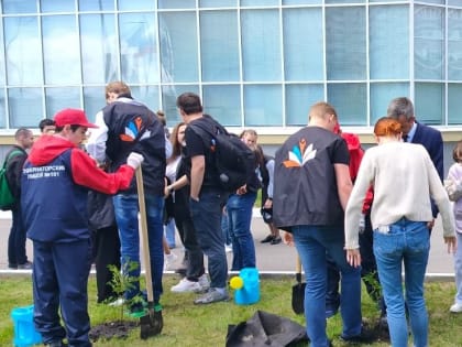 В Ульяновске появилась Аллея педагогов и наставников