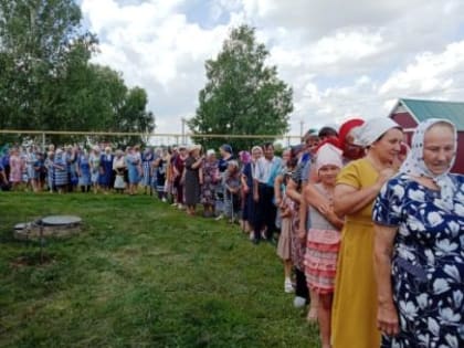Чудотворная Жадовская икона в Новомалыклинском благочиние