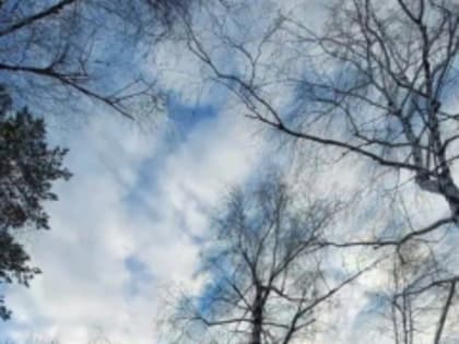 ЕДДС ПРЕДУПРЕЖДАЕТ: ОЖИДАЮТСЯ СИЛЬНЫЕ МОРОЗЫ