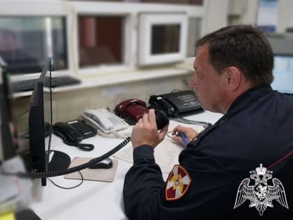 Пьяный ульяновец за рулём «Приоры» врезался в припаркованный автомобиль