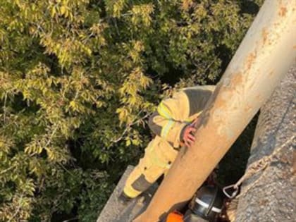 В Ульяновске пьяная женщина хотела прыгнуть с моста, но ее спасли