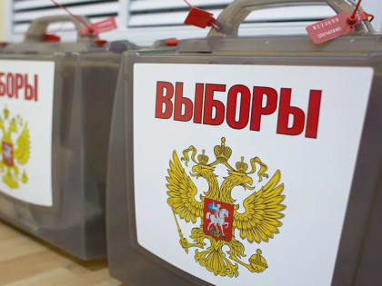 Центризбирком: самая высокая явка избирателей отмечена на довыборах в Госдуму