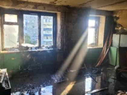Пожарные назвали причину возгорания квартиры в МКД на ул. Пушкарева