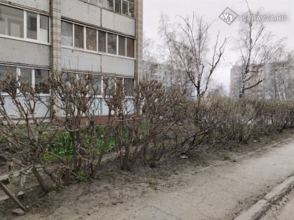 В Ульяновскую область пришло похолодание, но ненадолго