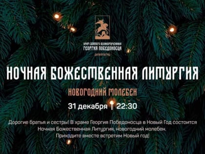 Новогодняя ночь в Димитровграде