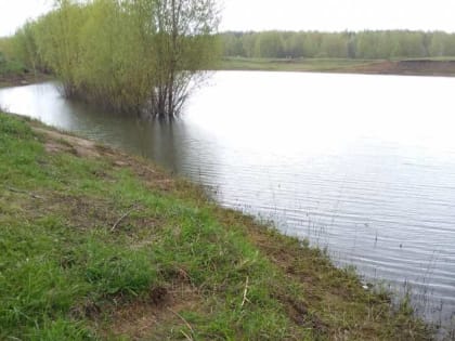 Бряндинские кадеты приняли участие в акции Чистая вода