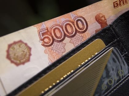 Разница между доходами обеспеченных и небогатых россиян увеличилась в 8,6 раза
