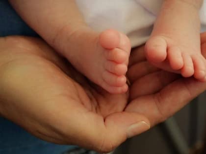 Ученые нашли способ повысить эффективность искусственного оплодотворения