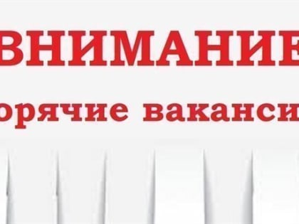 В Ульяновской области есть 21 вакансия для людей с ограниченными возможностями здоровья