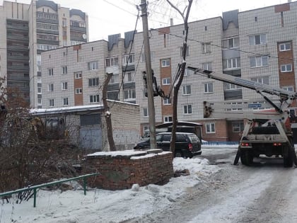 За неделю в Ульяновске снесли 78 аварийных деревьев