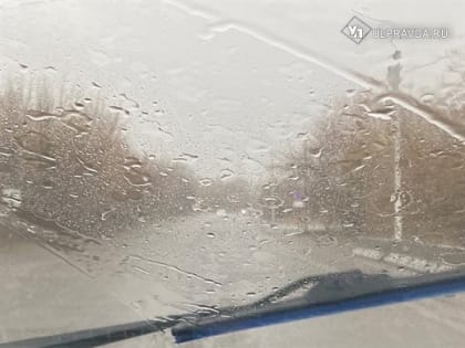 Сегодня в Ульяновской области пойдет мокрый снег и дождь