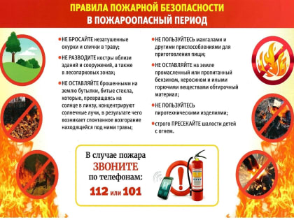 Правила поведения в лесу в пожароопасный период