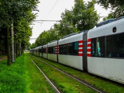 В Ульяновске рельсы для трамвайных путей приобретут за 27,6 млн рублей