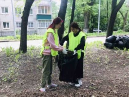 «Мое трудовое лето». Ульяновских ребят приглашают делиться трудовыми подвигами