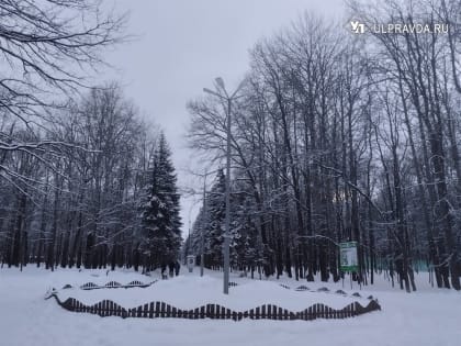 Сегодня ульяновцам обещают относительно тёплую погоду и снег