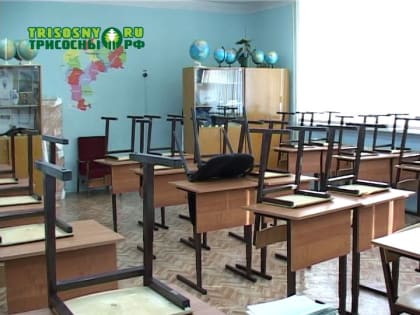 В Димитровграде отменили занятия в школах 9 января