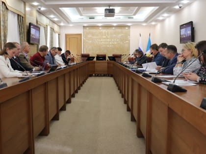 Контроль за восстановлением объектов благоустройства в Засвияжском районе