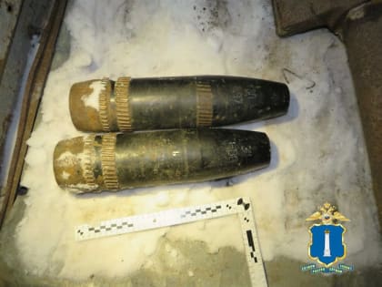 Полицейские нашли у ульяновцев в незаконном обороте 2620 граммов пороха, три ружья и револьвер