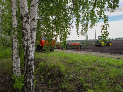 В Ульяновской области сев яровых культур выполнен на 95,3% от плана