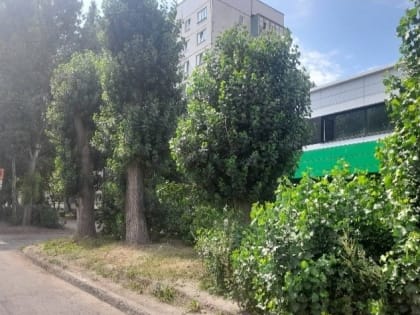 Возвратный билет