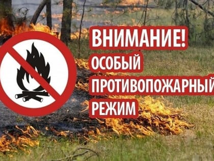 В лесах восьми муниципальных образований Ульяновской области действует особый противопожарный режим
