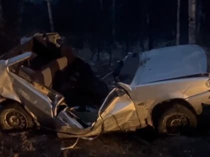 На трассе Бестужевка – Барыш – Николаевка ВАЗ врезался в дерево. Погибли два человека