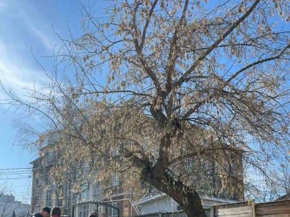 «Можно заехать как с Дмитрия Ульянова, так и с Пластова, но теперь они хотят еще и с Гончарова»