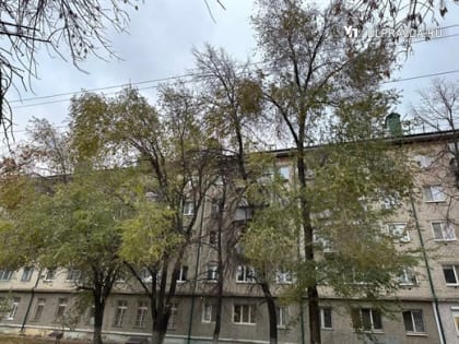 Юго-западный ветер принесет в Ульяновскую область небольшой дождь