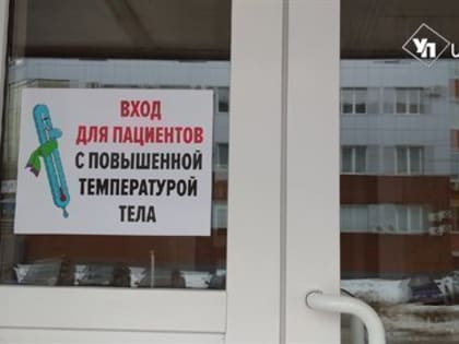 Заболеваемость ОРВИ и гриппом за неделю в регионе выросла на 20%