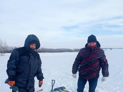 Аграрии проверили состояние озимой пшеницы в Ульяновской области