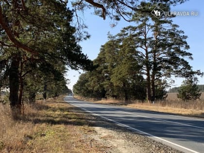 В Барышском районе есть 14 горячих вакансий. Зарплаты – до 90000 рублей