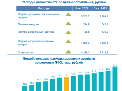 Расходы ульяновских семей за год увеличились на треть