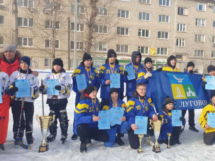 6 июля – День ТОС в Ульяновской области